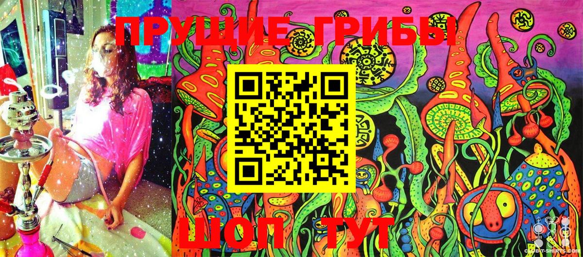 Псилоцибиновые грибы Cubensis Кстово